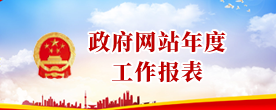 政府網(wǎng)站年度工作報表